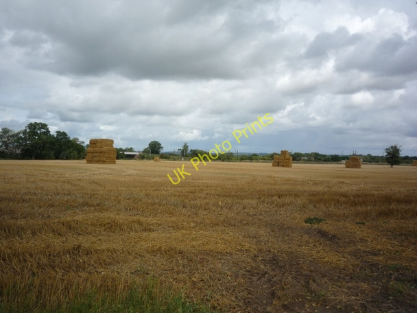 Photo 6"x4" Over fields towards Alne Station Alne c2010