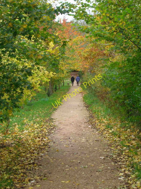 Photo 6"x4" Footpath, University of Bath Claverton c2010