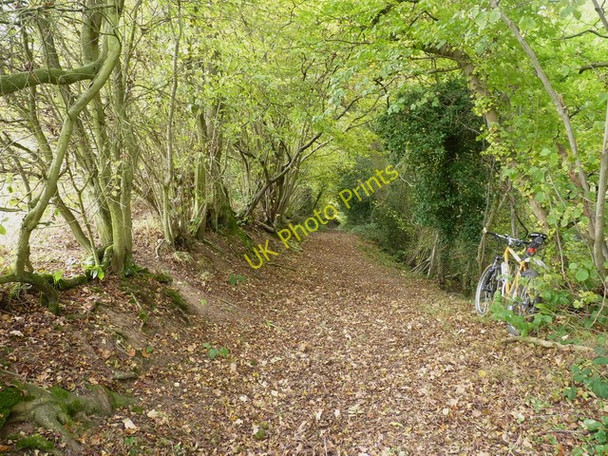 Photo 6"x4" Autumn leaves on the bridleway to Garmston Garmston c2010