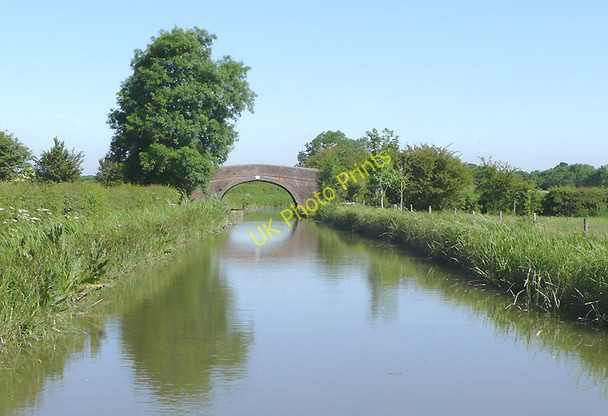 Photo 6"x4" The Ashby Canal near Market Bosworth, Leicestershire Market Bosworth c2010 P1