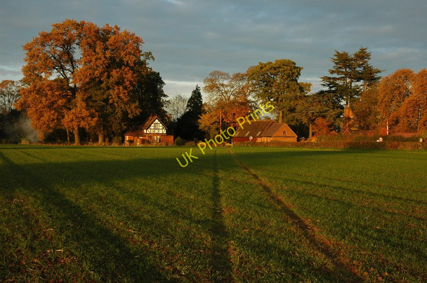 Photo 6"x4" Autumn in Earl's Croome Holly Green\/SO8641 c2010