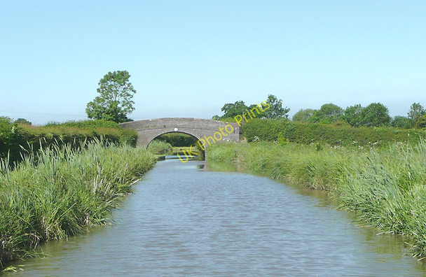 Photo 6"x4" The Ashby Canal near Carlton, Leicestershire Carlton\/SK3905 c2010 P1