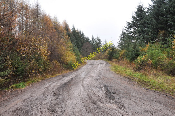 Photo 6"x4" Forestry road in Glen Gallain River Gallain c2010