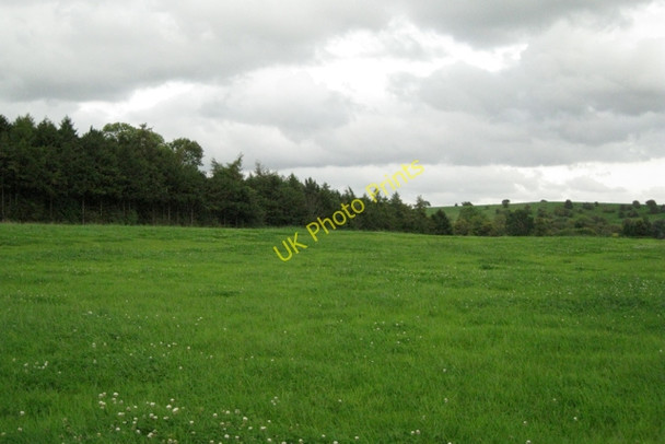 Photo 6"x4" Shelterbelt south of Coppice Corner Farm Lowsonford c2010