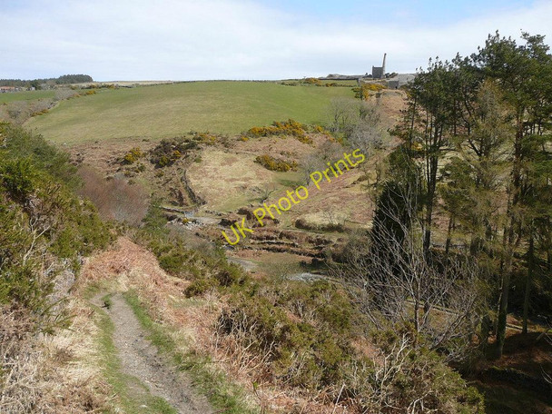 Photo 6"x4" Bayr ny Skeddan Path below Creg ny Crock Plantation Ballelby c2010