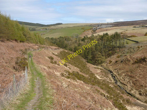 Photo 6"x4" Bayr ny Skeddan Path in Glen Rushen Ballelby c2010