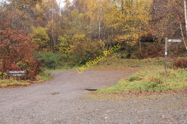 Photo 6"x4" Car park for woodland walks near Spean Bridge Alltour c2010