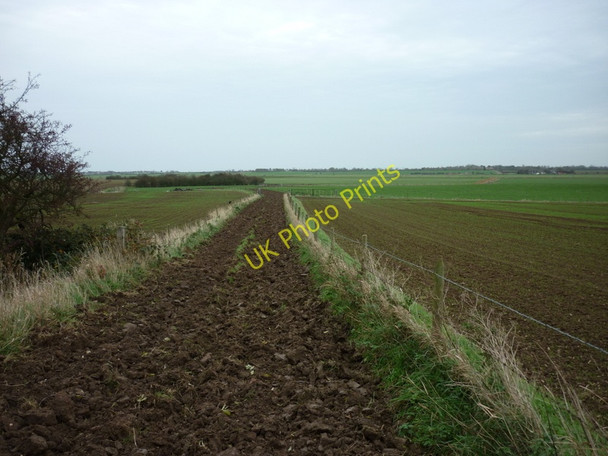 Photo 6"x4" A ploughed up footpath leading to Hollym Withernsea c2010