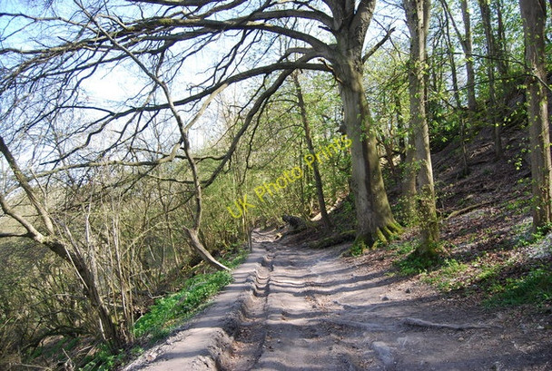 Photo 6"x4" The Wealdway, The Holt Folkington c2010