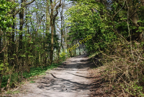 Photo 6"x4" Wealdway to Folkington Folkington c2010