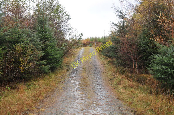 Photo 6"x4" Forestry road in Leanachan Forest Torlundy c2010