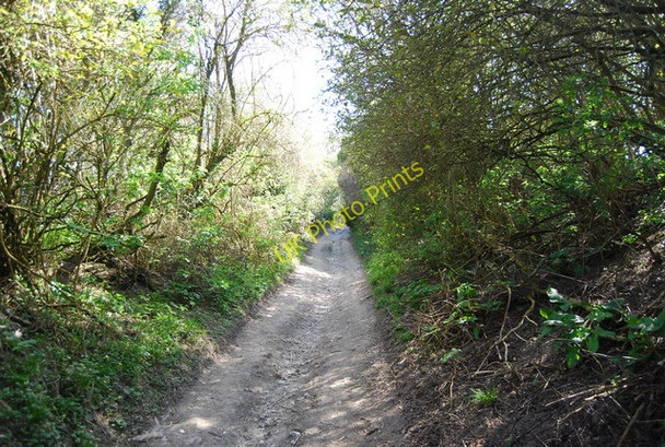 Photo 6"x4" The Wealdway Folkington c2010