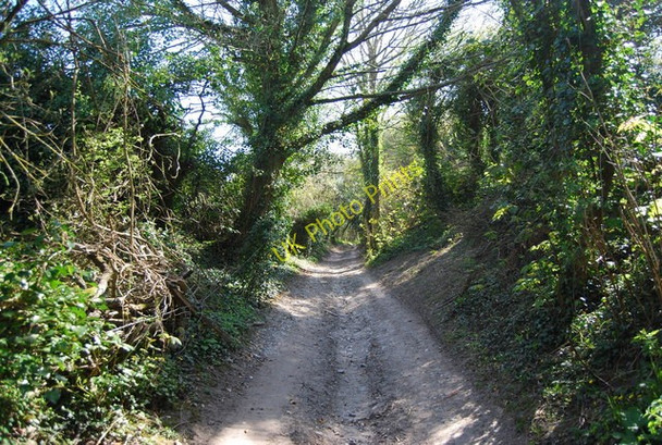 Photo 6"x4" The Wealdway to Jevington Folkington c2010