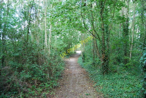 Photo 6"x4" Footpath to Haysden Country Park Tonbridge c2010