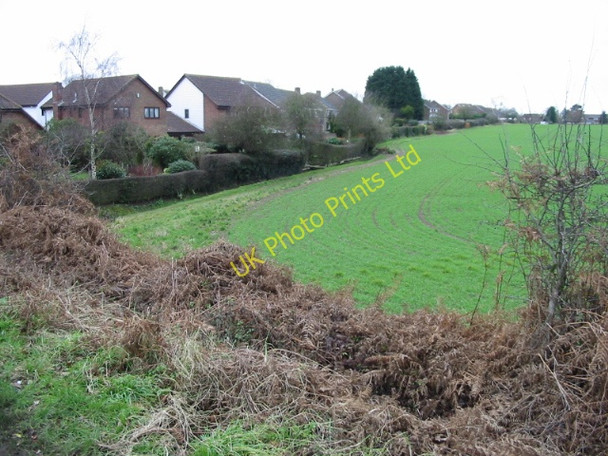 Photo 6"x4" Field margin and footpath, Brabourne Lees Brabourne Lees c2007
