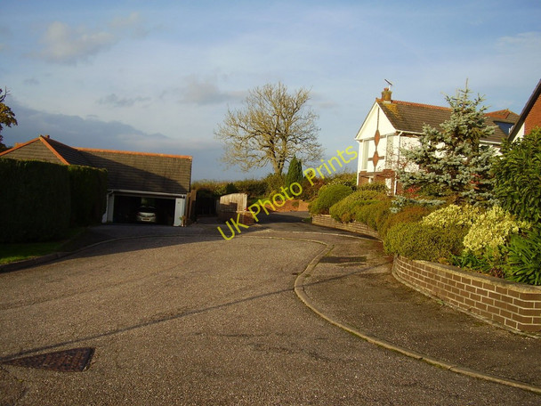 Photo 6"x4" Behind the houses Sidmouth c2010
