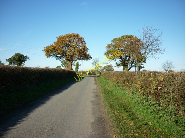 Photo 6"x4" The road to Stillingfleet heads towards Moor Lane Kelfield\/SE5938 c2010