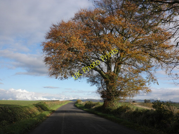 Photo 6"x4" The B3191 between Blue Anchor and Watchet Chapel Cleeve c2010