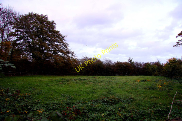 Photo 6"x4" Field by Mill Lane Marston\/SP5208 c2010