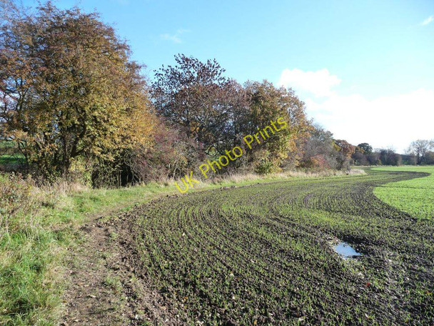 Photo 6"x4" Greening field along Hey Beck Haigh Moor c2010