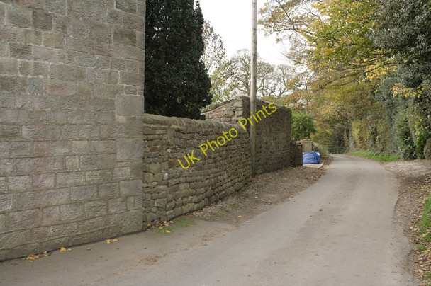 Photo 6"x4" Low Lane, Stainburn Stainburn\/SE2448 c2010