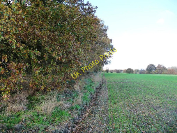 Photo 6"x4" North-east edge of Dogloitch Wood Haigh Moor c2010