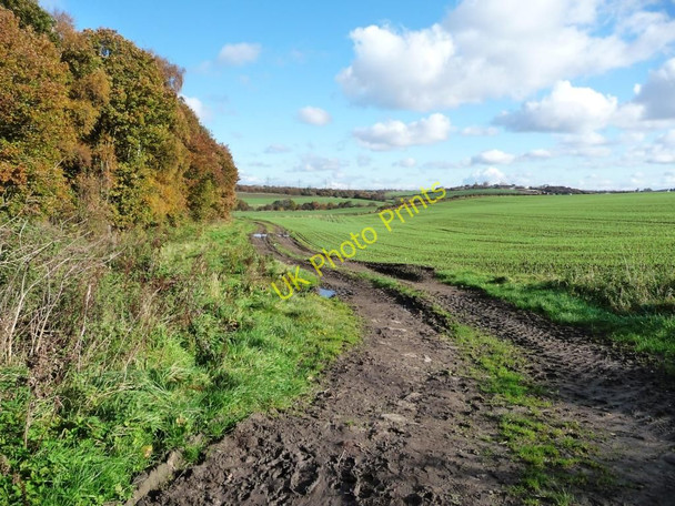 Photo 6"x4" Track and footpath alongside Dogloitch Wood Beggarington Hill\/SE2724 c2010
