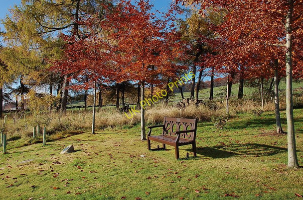 Photo 6"x4" Commemorative bench and trees, Peebles Golf Course Peebles\/NT2540 c2010