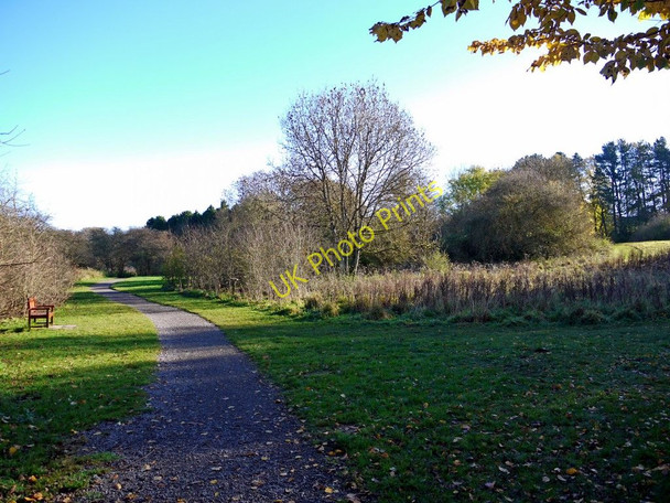 Photo 6"x4" Path, Ponteland Park Ponteland c2010