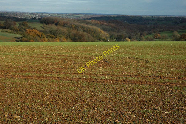 Photo 6"x4" View towards Kingscote Wood Kingscote\/ST8196 c2010