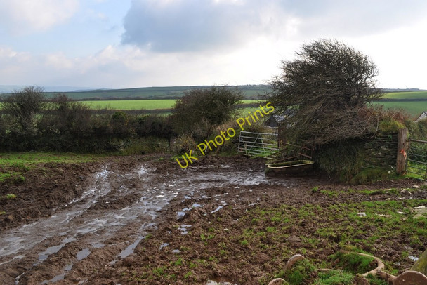 Photo 6"x4" The footpath from the Old Barnstaple Road at Francis Farm Ilfracombe c2010