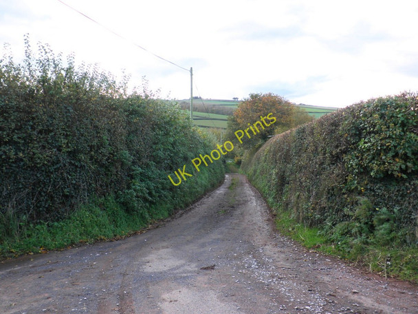 Photo 6"x4" Wood Lane, near Stogumber Higher Vexford c2010