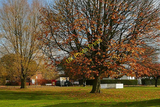 Photo 6"x4" Green at Stokenchurch Stokenchurch c2010