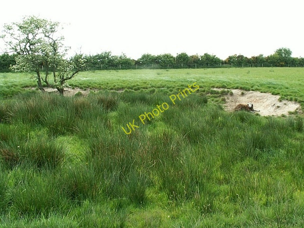 Photo 6"x4" Sheepy hollow Anthorn c2008