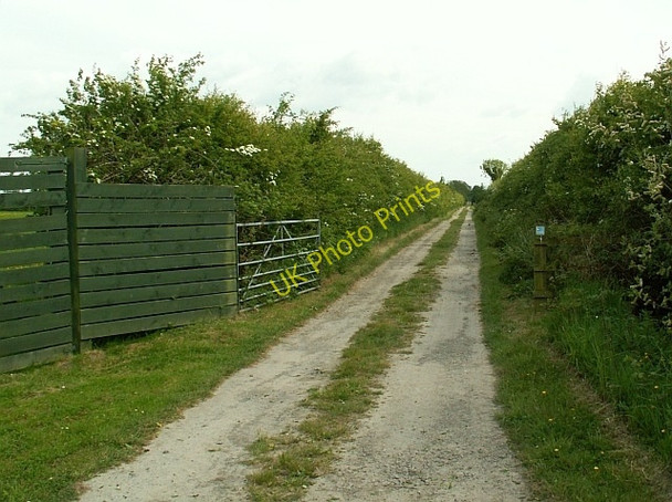 Photo 6"x4" Track to the hide, RSPB reserve, Campfield Marsh Anthorn c2008