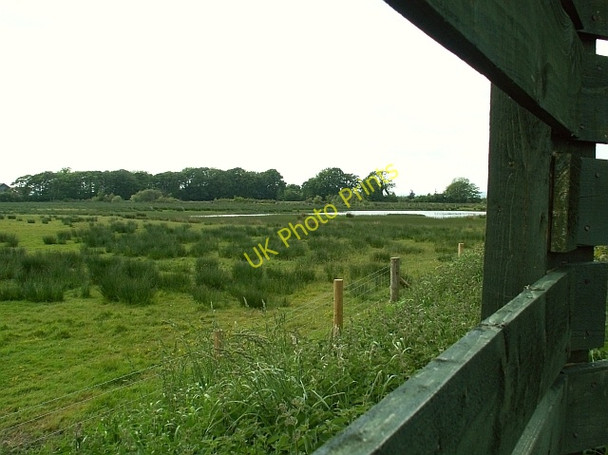 Photo 6"x4" Wet grassland, North Plain Farm Anthorn c2008