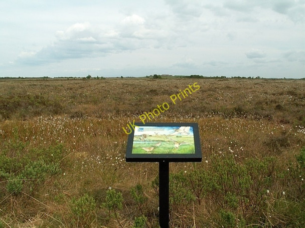 Photo 6"x4" Information board at Bowness Common Anthorn c2008