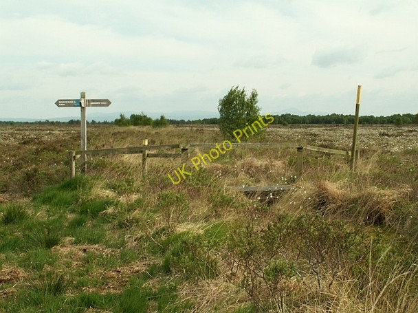 Photo 6"x4" Signpost on Bowness Common Anthorn c2008