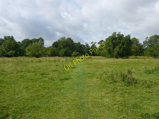 Photo 6"x4" On the Angles Way, north of Weybread House Harleston\/TM2483 c2010