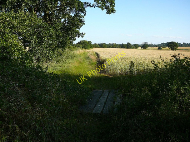 Photo 6"x4" Footpath running south from Darrow Wood Lane Diss c2010