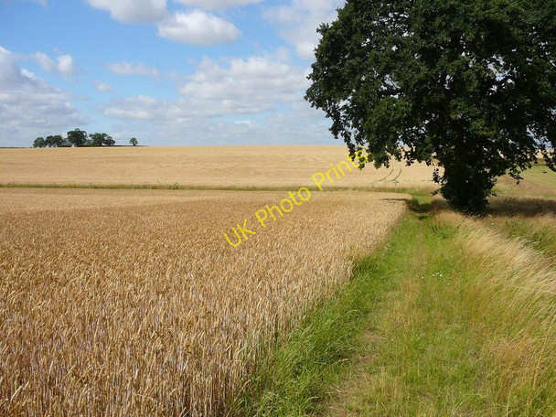 Photo 6"x4" On the Angles Way, approaching the junction with Mill Lane (track) Fen Street\/TM0579 c2010
