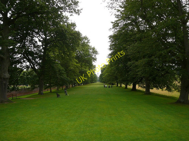 Photo 6"x4" Tree lined avenue, Gibside Rowlands Gill c2010