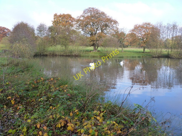 Photo 6"x4" Pond southwest of Wall under Heywood Wall Bank c2010
