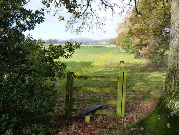 Photo 6"x4" Footpath north of Hargrove Wall Bank c2010