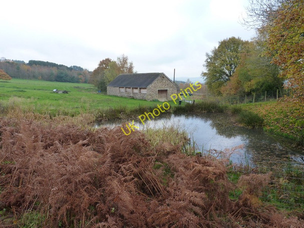 Photo 6"x4" Pond and building at Woodgate Cottage Hope Bowdler c2010