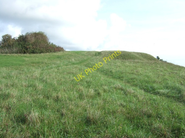 Photo 6"x4" Footpaths above St Lawrence St Lawrence\/SZ5376 c2010
