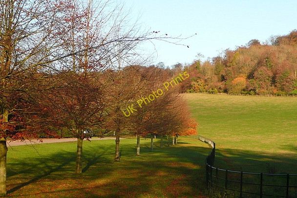 Photo 6"x4" Estate land at Wellground Ibstone c2010