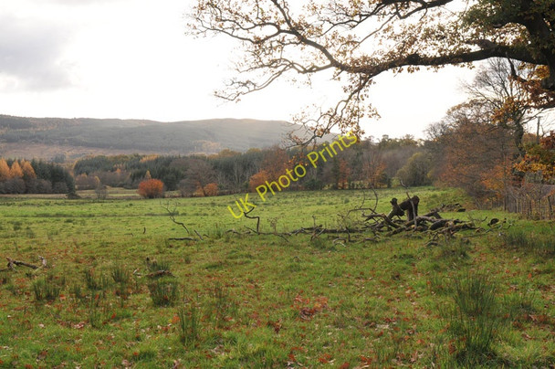 Photo 6"x4" Field near Dumfin Arden\/NS3684 c2010