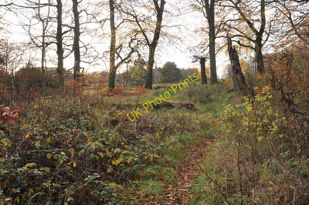 Photo 6"x4" Path along the edge of Dougalston Golf Course Milngavie c2010