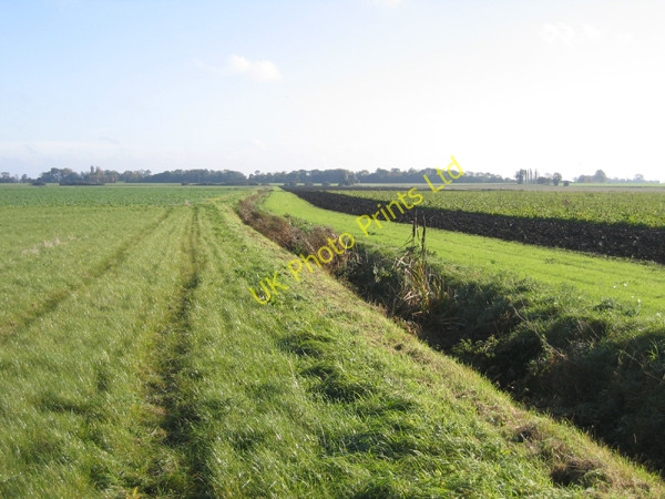 Photo 6"x4" Farmland E of the Northolm, Eye Green, Peterborough Eye Green c2005